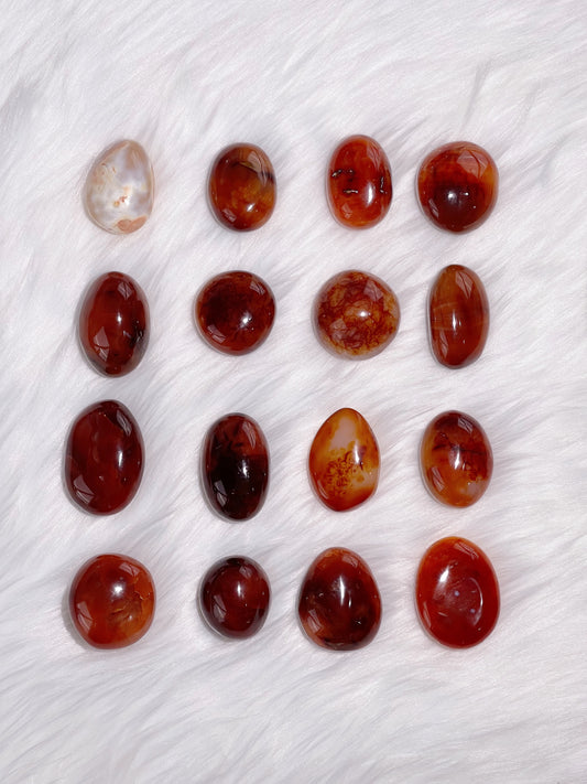 Carnelian Palms 15CN-24CN