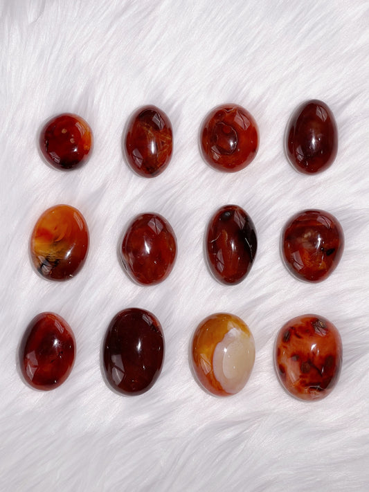 Carnelian Palms 20CX-38CN