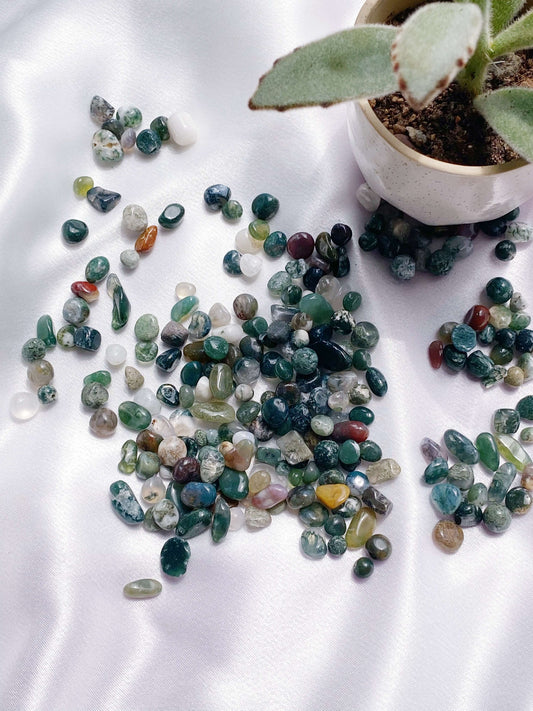 Moss Agate Chips - Caring Crystals