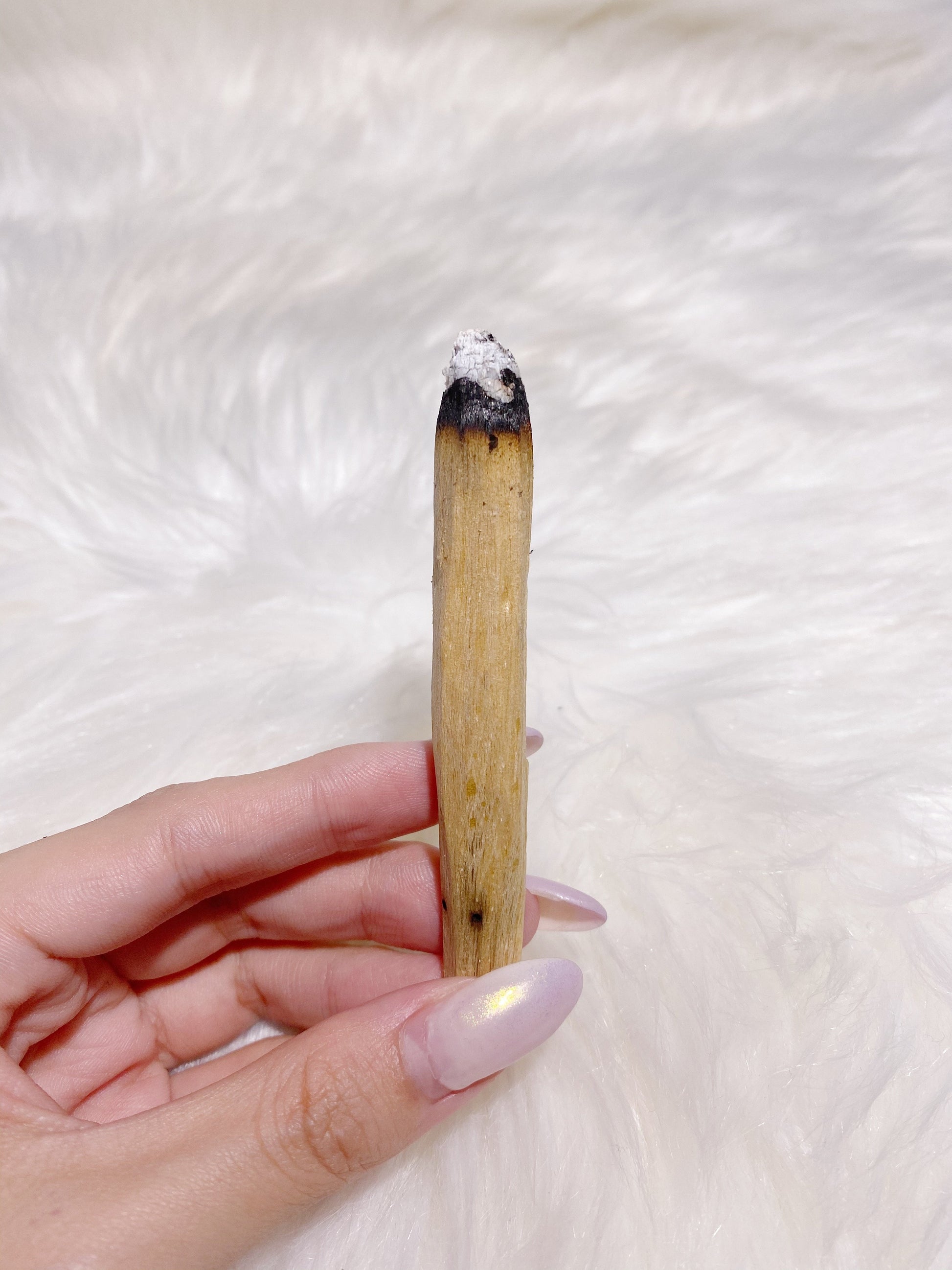 Palo Santo Smudge Stick - Caring Crystals