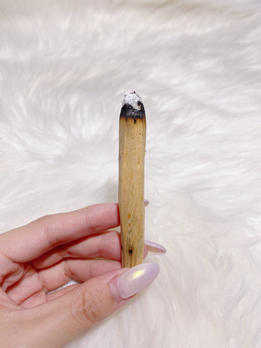 Palo Santo Smudge Stick - Caring Crystals